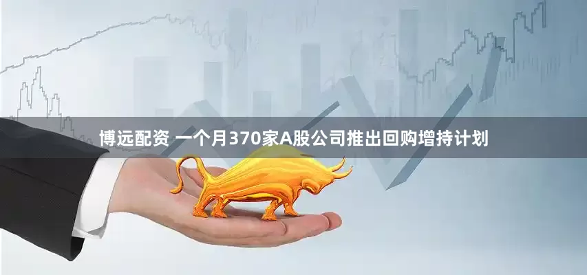 博远配资 一个月370家A股公司推出回购增持计划