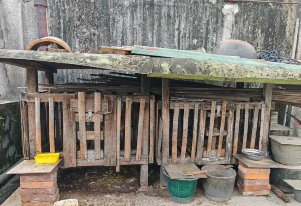 长胜证券 防蚊不力, 海珠区又一批单位、个人被处罚