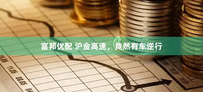 富邦优配 沪金高速，竟然有车逆行